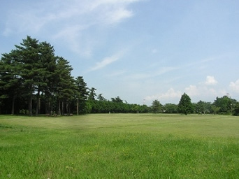 気象台記念公園芝生