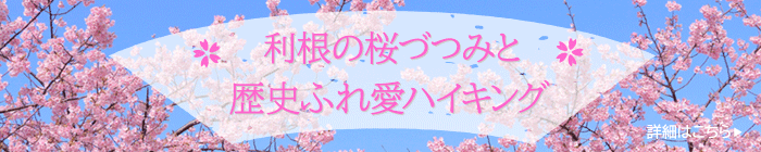 利根の桜づつみと歴史ふれ愛ハイキング